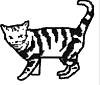 Cat.160