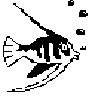 Fish-265
