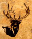 Deer-345